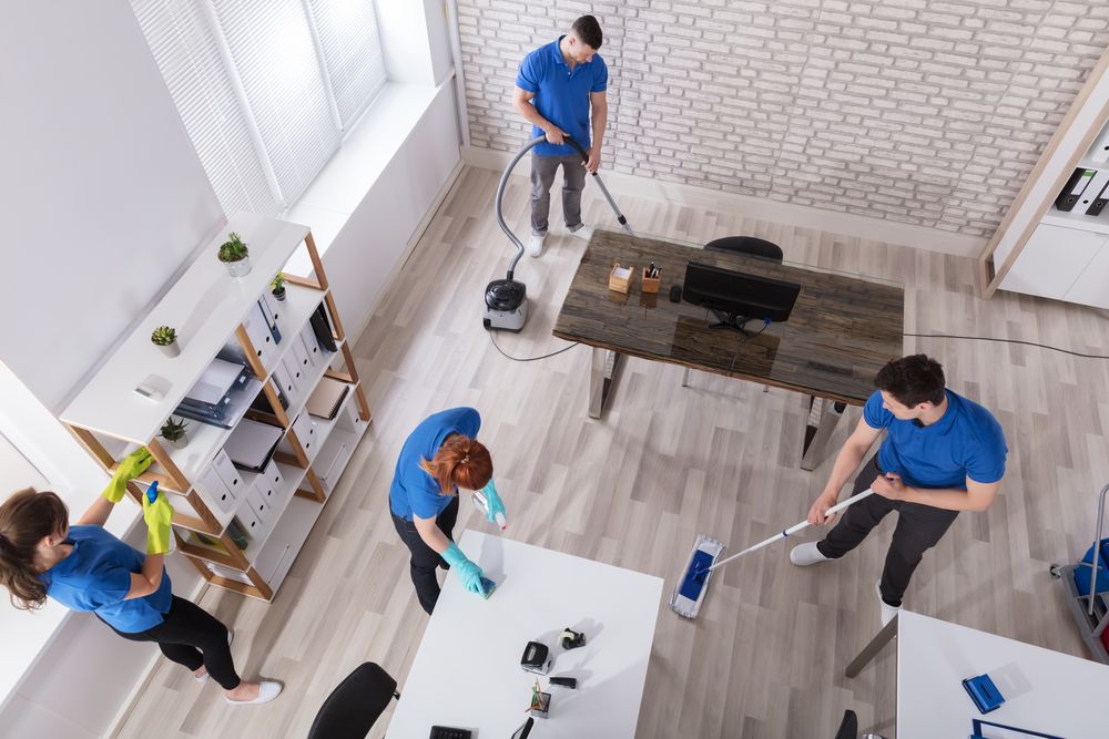 Why should one opt for house sanitizing services?