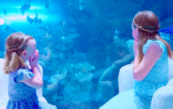 How To Keep Kids Entertained At Dubai Mall